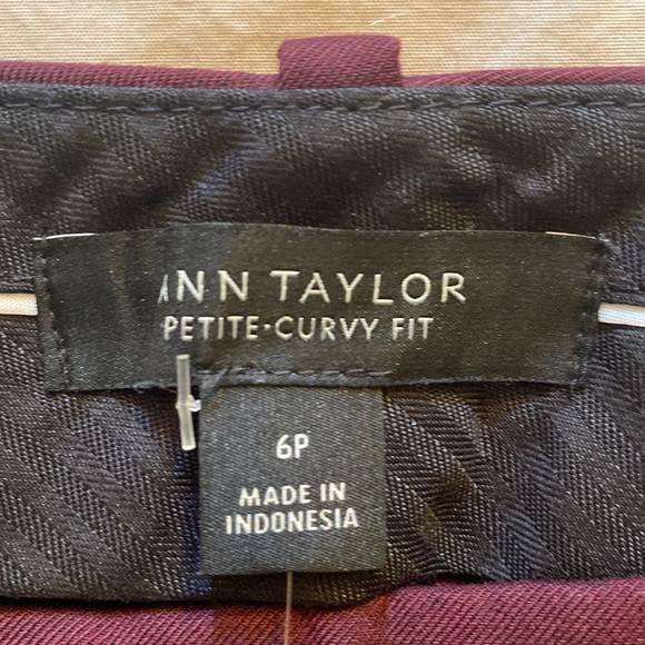 NWT Ann Taylor Purple Straight Pants (Curvy Petite Sizing) - Picture 4 of 5